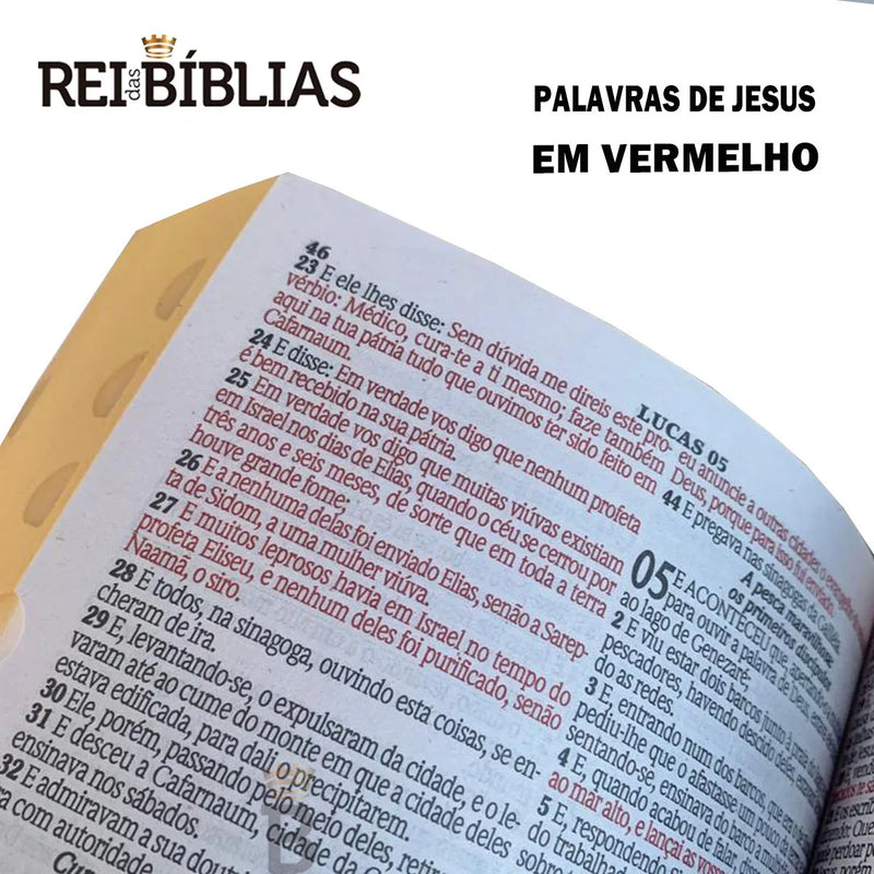 Biblia Sagrada (A venda deste Produto será totalmente destinada ao Hospital do Câncer)