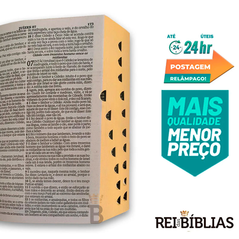 Biblia Sagrada (A venda deste Produto será totalmente destinada ao Hospital do Câncer)